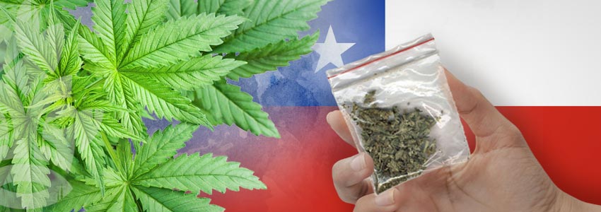 Cannabisfreundlichsten Länder: Chile